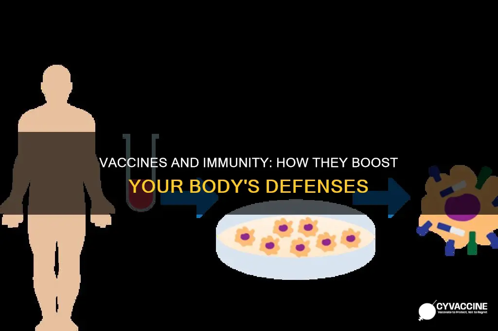 do vaccines strengthen the immune system