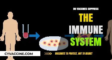 Do Vaccines Weaken Immunity? Debunking Myths About Immune Suppression