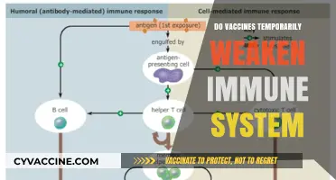 Do Vaccines Temporarily Weaken Your Immune System? Facts Explained