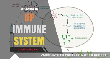Do Vaccines Overwhelm the Immune System? Separating Fact from Fiction