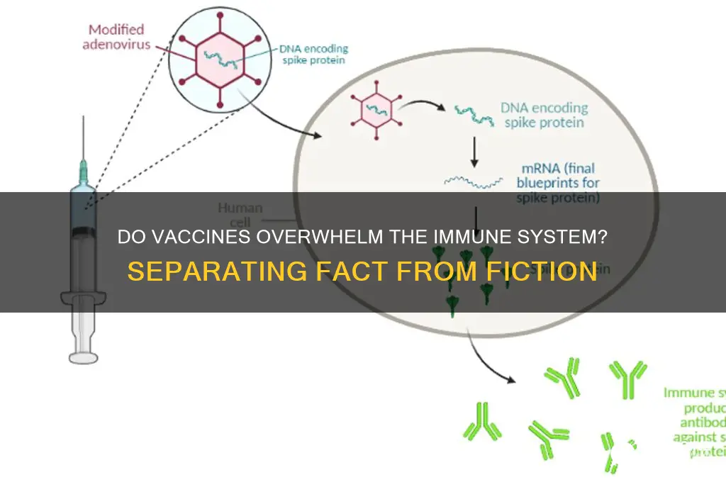 do vaccines tie up immune system