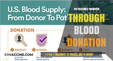 Can Vaccines Be Transferred Through Blood Donation? Facts and Myths