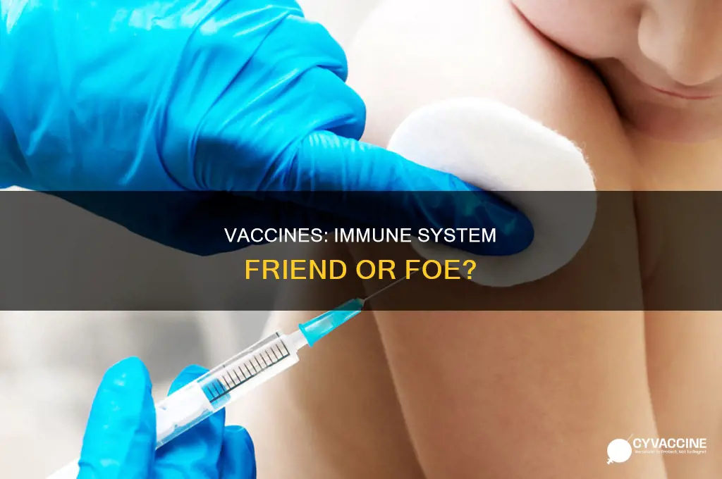 do vaccines weaken immune system center for disease control