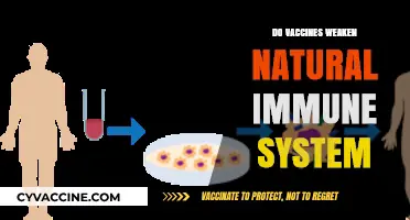 Do Vaccines Weaken Immunity? Separating Myths from Scientific Facts