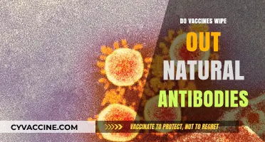 Vaccines vs. Natural Immunity: Do They Erase Antibodies?