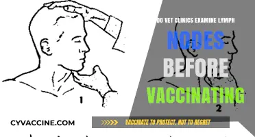 Vet Vaccination Prep: Examining Lymph Nodes First
