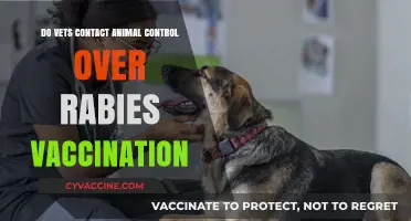 Rabies Vaccination: Vets, Animal Control, and You