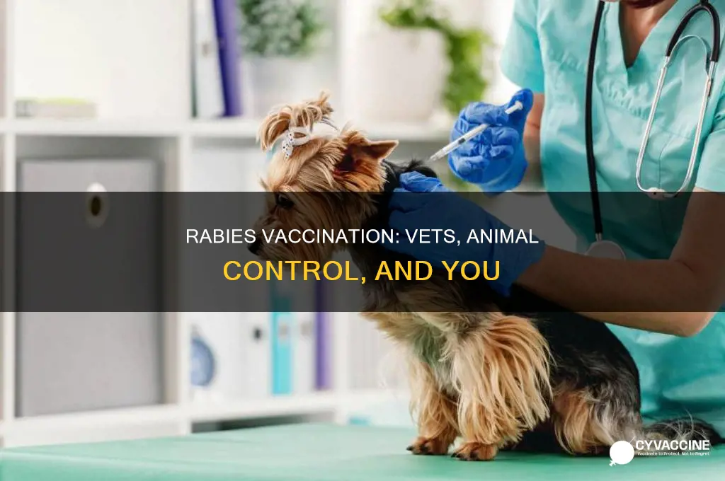 do vets contact animal control over rabies vaccination