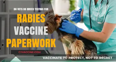 Vets and Rabies Vaccines: Breed Testing for Paperwork