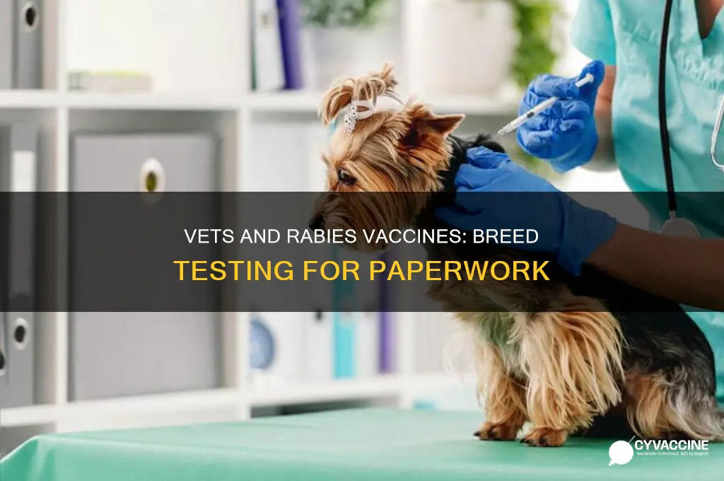 do vets do breed testing for rabies vaccine paperwork