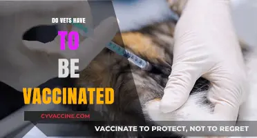 Do Vets Need Vaccinations? Exploring Mandatory Immunizations for Veterinarians