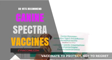 Canine Spectra Vaccines: Vet Recommendations and Pet Health Insights