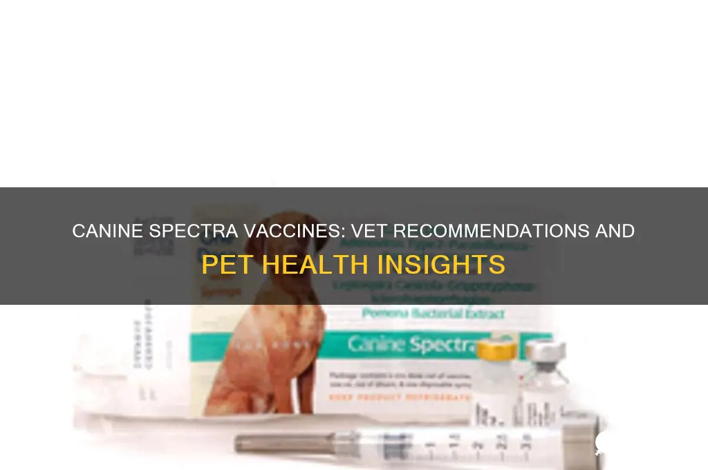 do vets recommend canine spectra vaccines