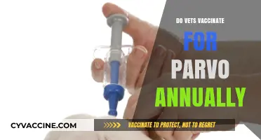 Annual Parvo Vaccination: Essential Vet Practice or Unnecessary for Dogs?