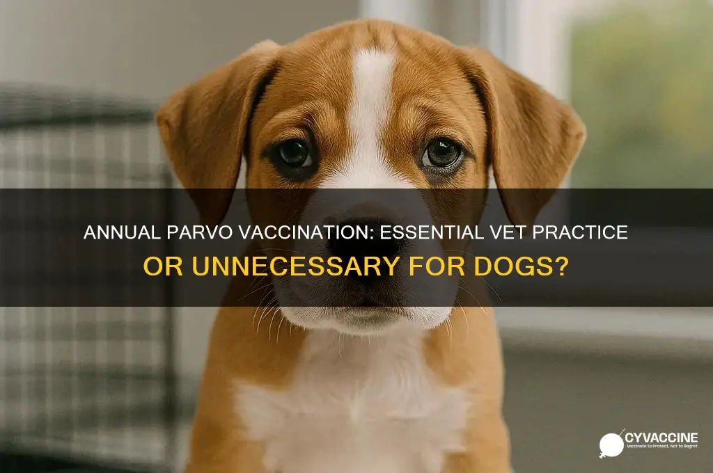 do vets vaccinate for parvo annually
