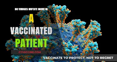 Vaccinated Patients: A Virus Mutation Factor?