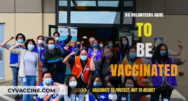 Volunteer Vaccination Requirements: What You Need to Know