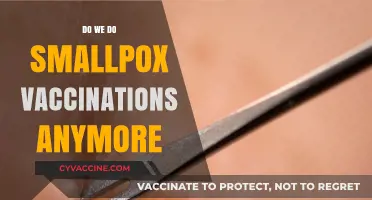 Smallpox Vaccinations: Are They Still Administered Today?