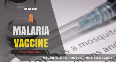 Malaria Vaccine Breakthrough: Current Status and Future Prospects Explained