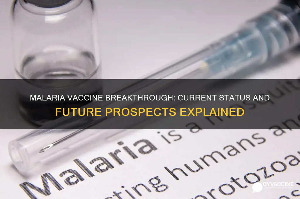 do we have a malaria vaccine