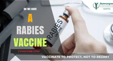 Rabies Vaccine: Availability, Effectiveness, and Importance for Prevention