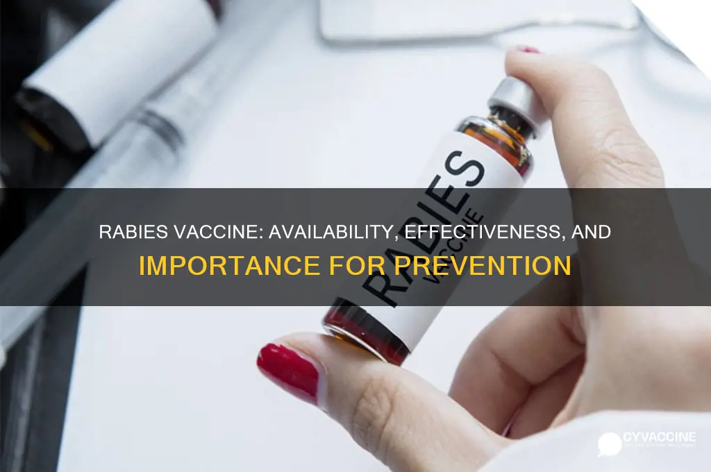 do we have a rabies vaccine