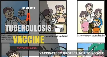 Does a Tuberculosis Vaccine Exist? Exploring Prevention and Protection