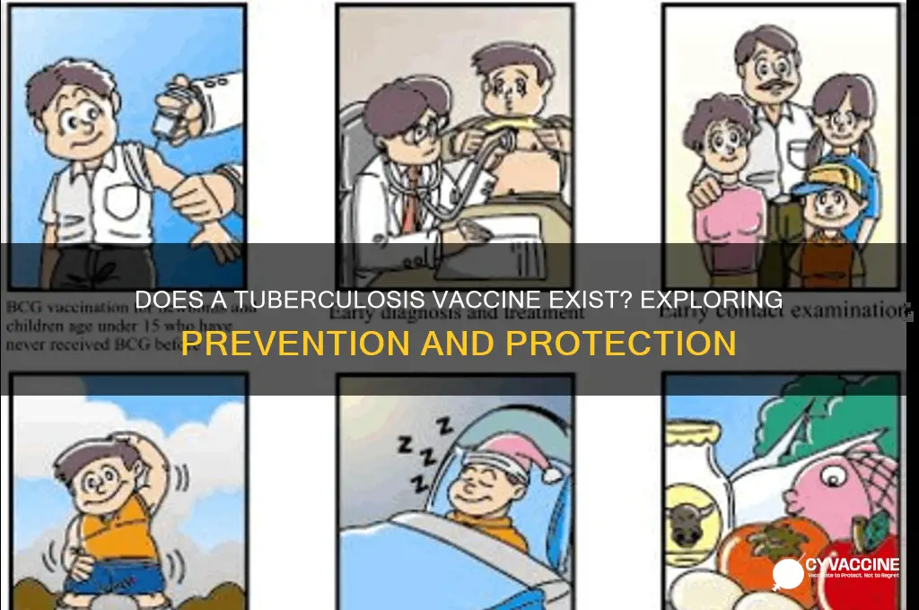 do we have a tuberculosis vaccine