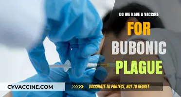 Bubonic Plague: Vaccines and Treatments