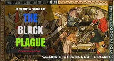 The Black Plague: Vaccines and Prevention