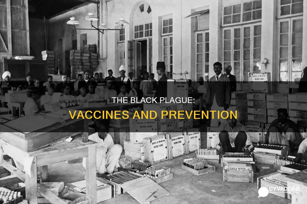 do we have a vaccine for the black plague