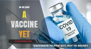 Latest Updates: Do We Have a COVID-19 Vaccine Yet?