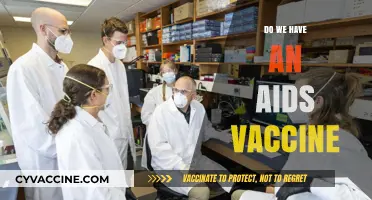 The Quest for an AIDS Vaccine: Progress, Challenges, and Hope