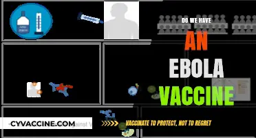 Ebola Vaccine: Current Status, Availability, and Future Prospects Explained