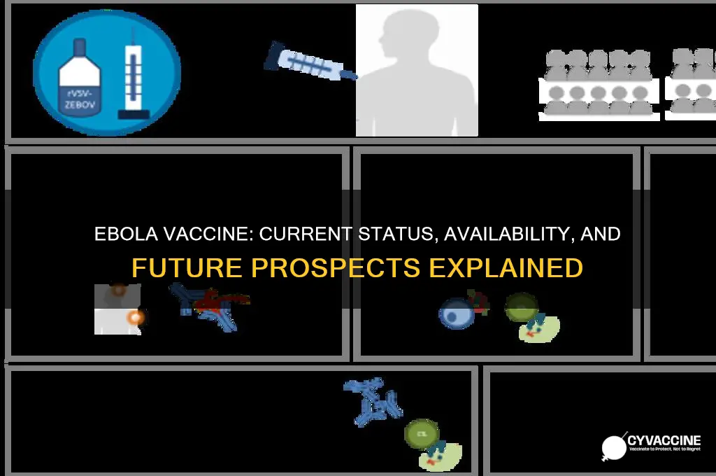 do we have an ebola vaccine