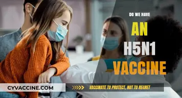 H5N1 Vaccine Availability: Current Status and Future Prospects