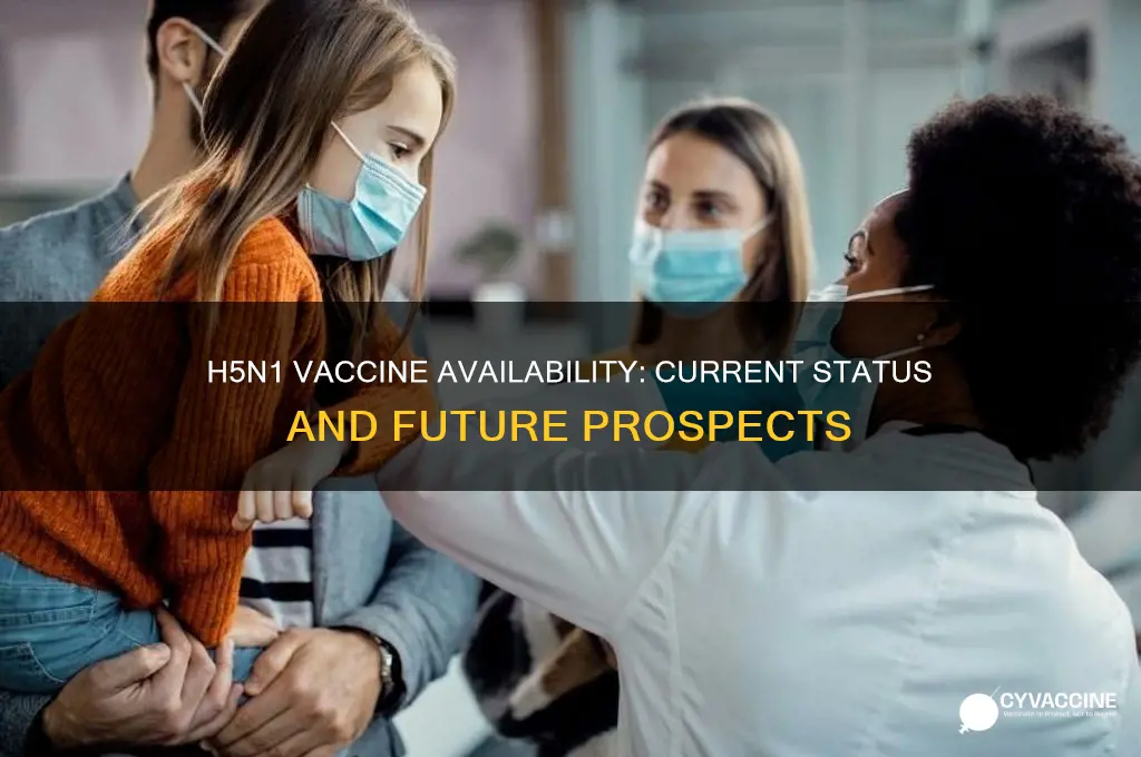 do we have an h5n1 vaccine