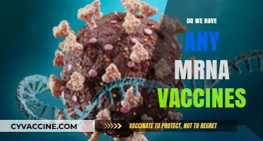 Exploring mRNA Vaccines: Availability, Benefits, and Current Applications