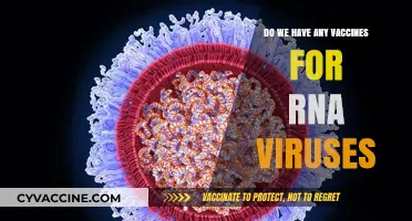 RNA Viruses: Vaccines and Their Development