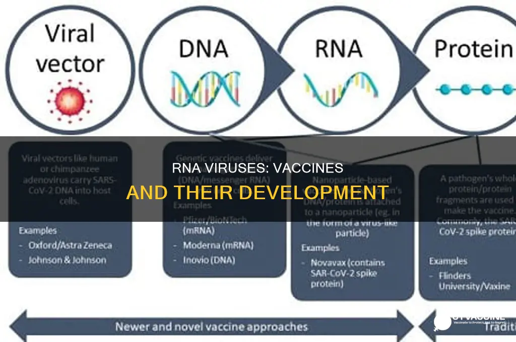 do we have any vaccines for rna viruses