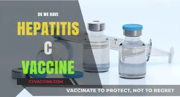 Hepatitis C Vaccine: Current Status and Future Prospects Explained