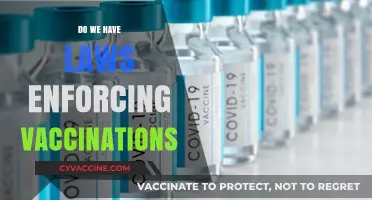 Legal Mandates for Vaccinations: Exploring Global Laws and Enforcement