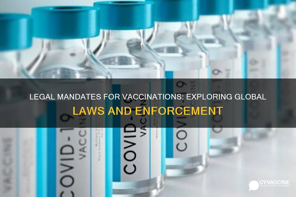 do we have laws enforcing vaccinations