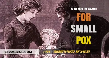 Smallpox Vaccine: Eradication and Modern Medicine