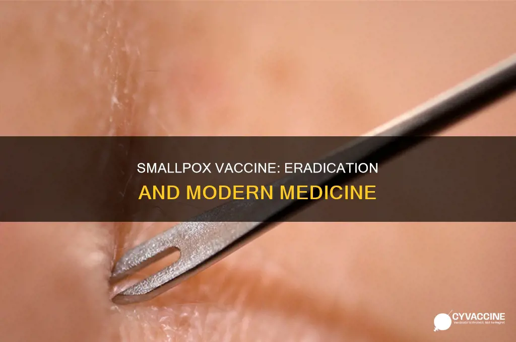 do we have the vaccine for small pox