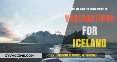 Iceland's Vaccination Requirements: What You Need to Know