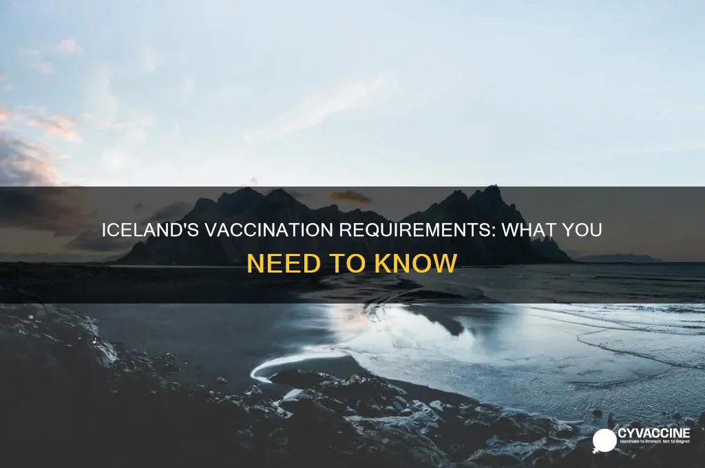 do we have to show proof of vaccinations for iceland