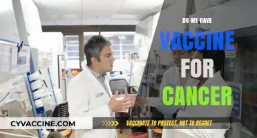 Exploring the Latest Advances: Do We Have a Cancer Vaccine Yet?