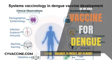 Do We Have a Vaccine for Dengue? Current Status and Updates