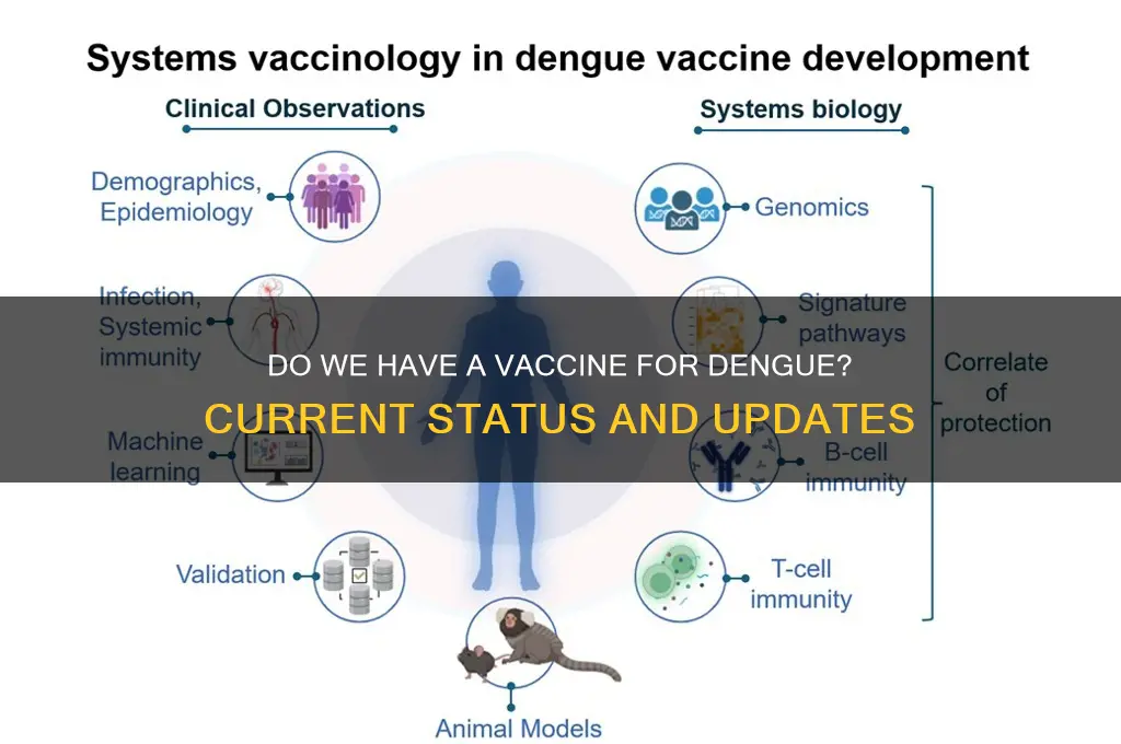 do we have vaccine for dengue
